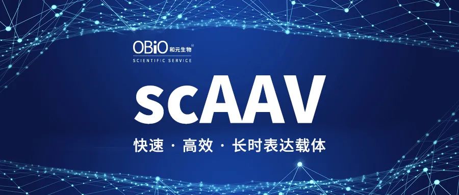自互补AAV（scAAV）——快速、高效、长时表达载体