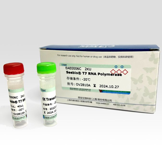 Seebio® T7 RNA聚合酶