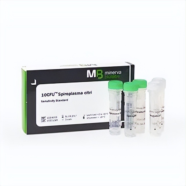 核酸法验证中支原体标准品