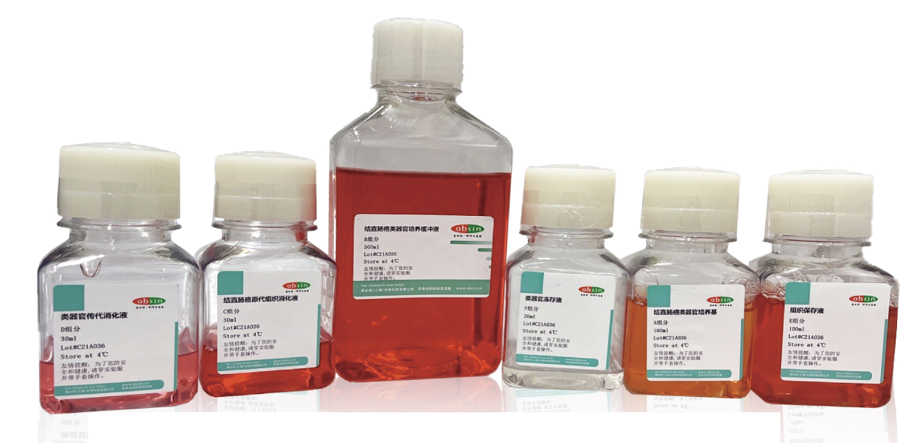 人结直肠癌类器官培养攻略-原代培养