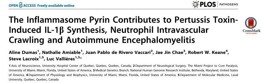 EAE疾病模型│百日咳毒素使用注意事项及文献分享