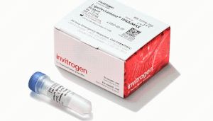 赛默飞的Lipofectamine RNAiMAX转染试剂，13778150操作步骤