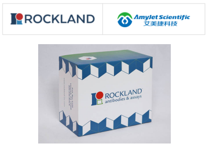 Rockland 抗HA标签抗体说明书丨艾美捷 Rockland 抗HA标签抗体说明书丨艾美捷