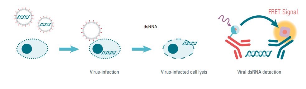 生物药物工艺相关杂质检测