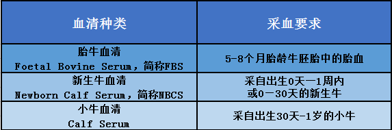 这3种不同的牛血清，对实验的影响还真不小！