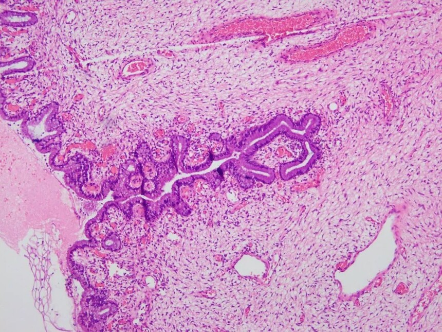 1693384365283587.jpg 1693384365283587.jpg