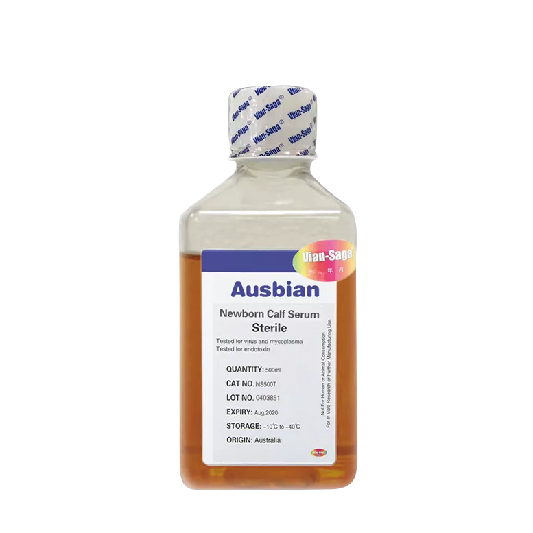 过往→未来，我们一直都在