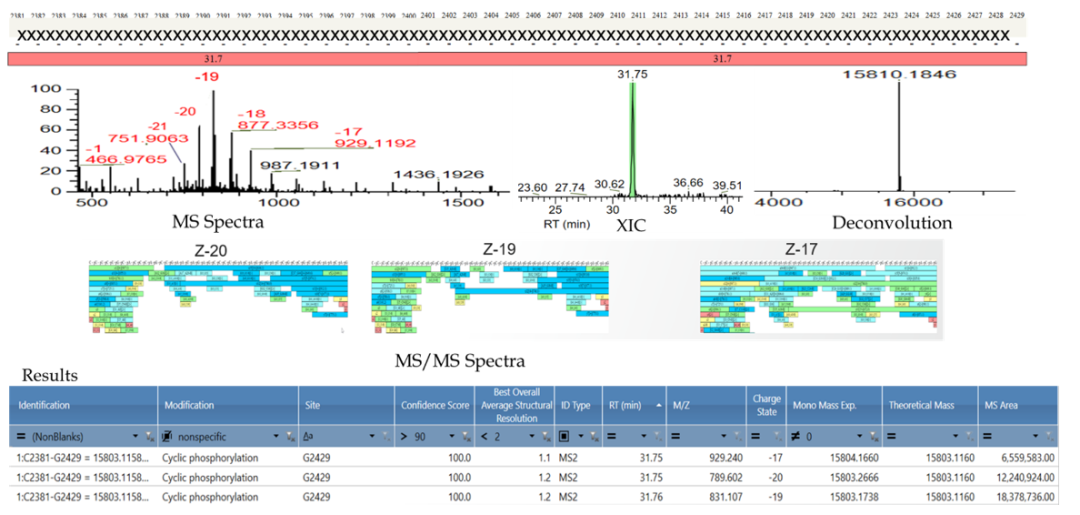 解锁高阶模式,Oligo全面表征流程