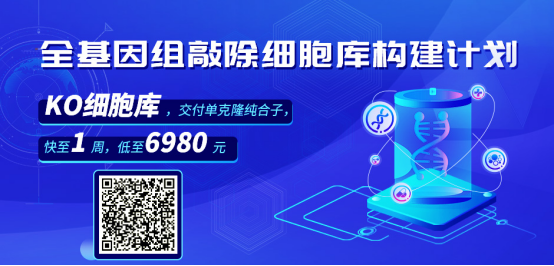 想做KO细胞，怎么偏遇上个“一身反骨”的基因