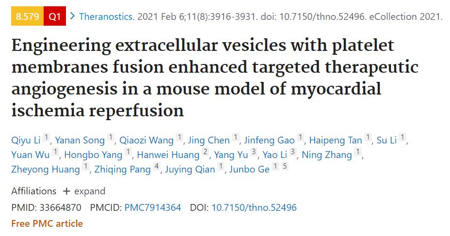 血小板膜融合细胞外囊泡可靶向增强心梗小鼠血管新生