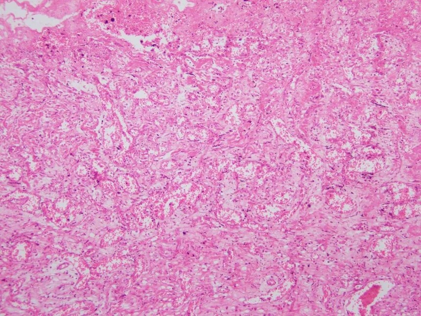 1693384492685142.jpg 1693384492685142.jpg