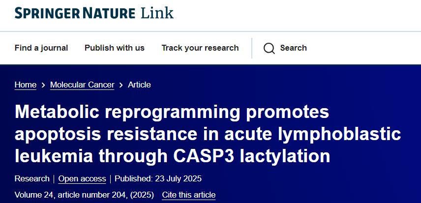 代谢重编程通过CASP3乳酰化促进急性淋巴细胞白血病的凋亡抵抗