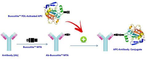 预激活APC-Cy7串联的功能应用 预激活APC-Cy7串联的功能应用