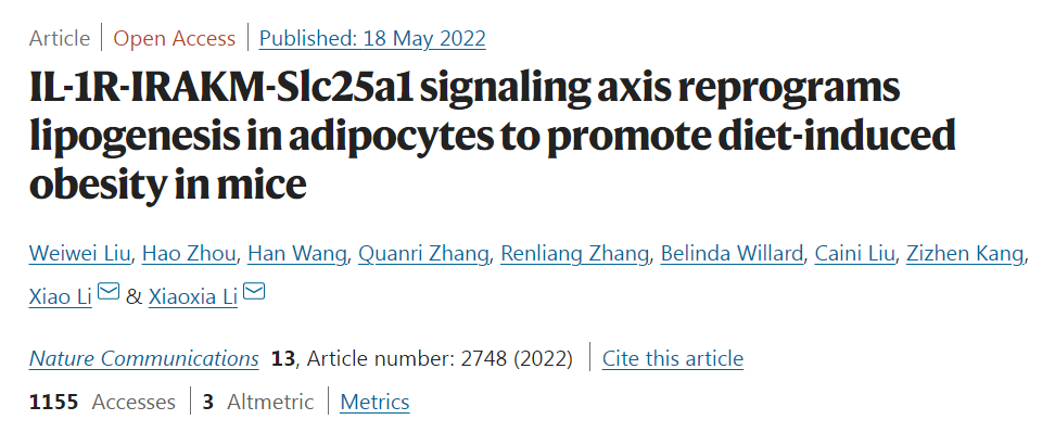 高脂饮食如何诱导肥胖？华人团队发现新的信号轴