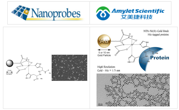 Nanoprobe艾美捷Ni-NTA纳米金研究