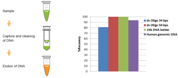 EpiQuik DNA清洁和浓缩试剂盒，科研好物超值购