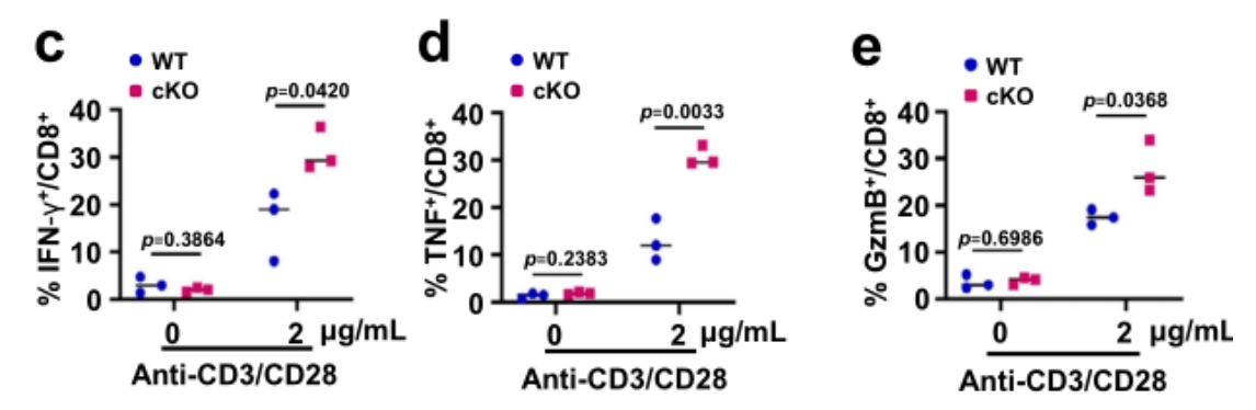生物活性小分子在疾病研究中的应用
