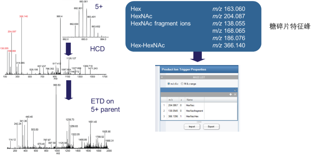 基于HCD-pd-ETD碎裂的高通量的完整糖肽定量策略解读