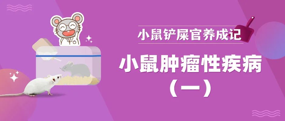 “你瘤子长的咋样了？”小鼠：我没得罪你们任何人