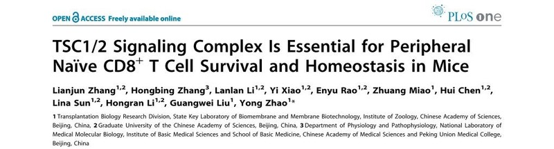 兔子单克隆抗体制备