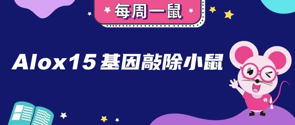 【每周一鼠】强大的脂质代加工——Alox15