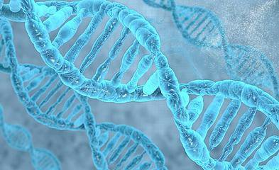 DNA序列与可遗传的基因沉默有密切联系