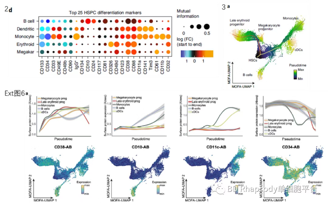 BD Rhapsody AbSeq + WTA + TTA + SMK + FACS Aria II助力白血病研究
