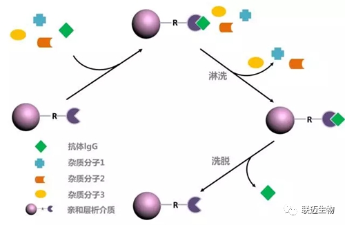 微信图片_20220602145456.png 图片