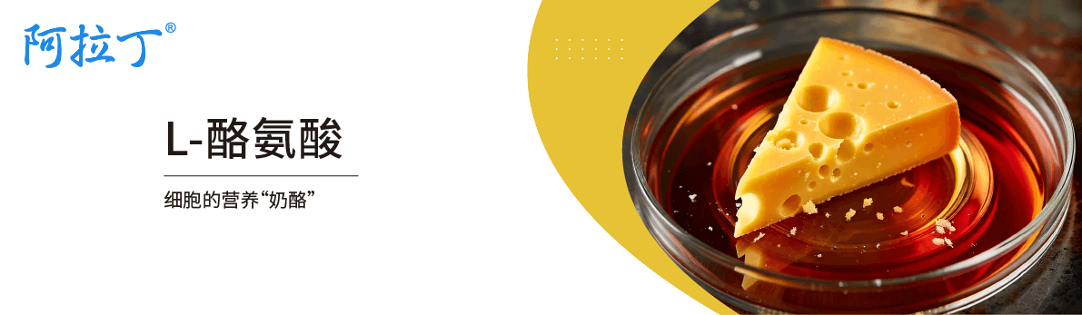 【阿拉丁】L-酪氨酸：何以成为细胞不可或缺的营养“奶酪”？