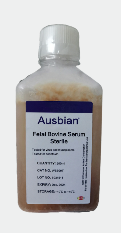 论新生牛血清的质量控制