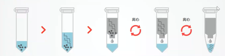 哪种方法最适合您的DNA提取实验呢？