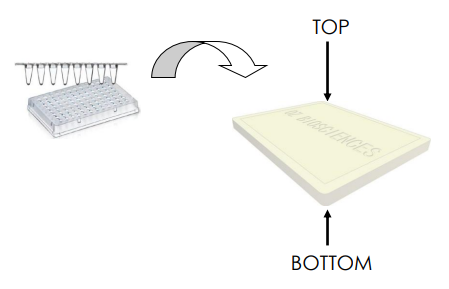 中英文介绍丨艾美捷超大磁性板（MF14000）