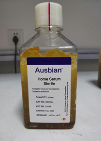 细胞培养之-马血清