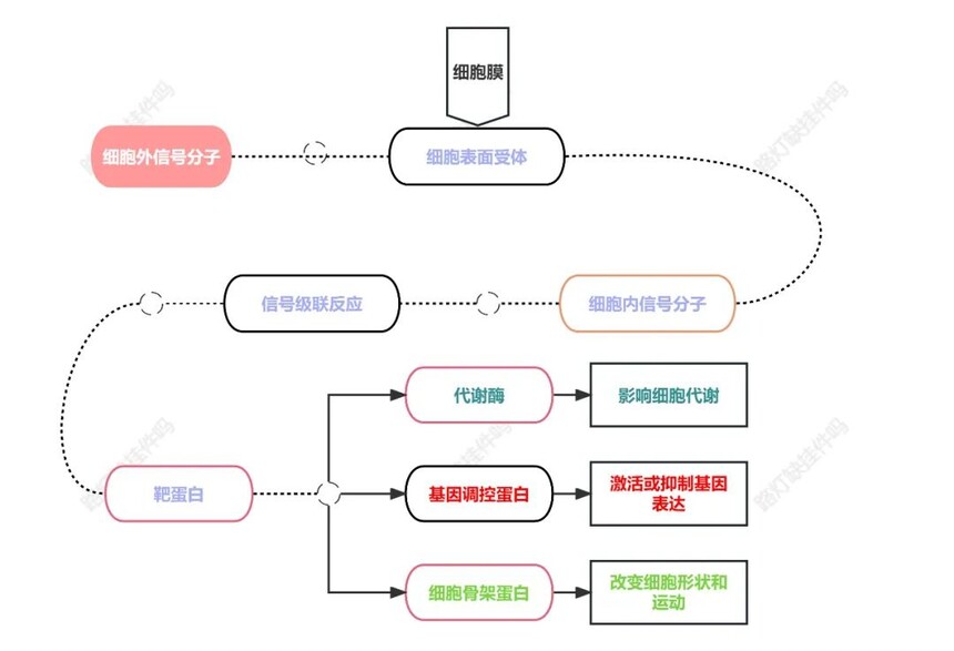 1698730553372040.jpg 1698730553372040.jpg