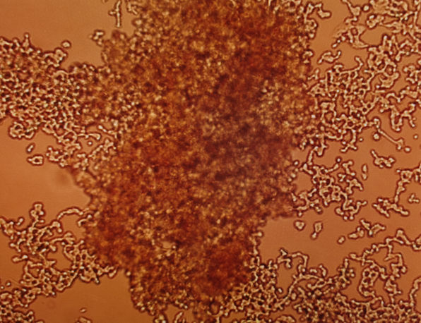 1637546428184143.jpg 新闻图片1