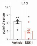 文献精选|因为拼搏，所以出“粽”！