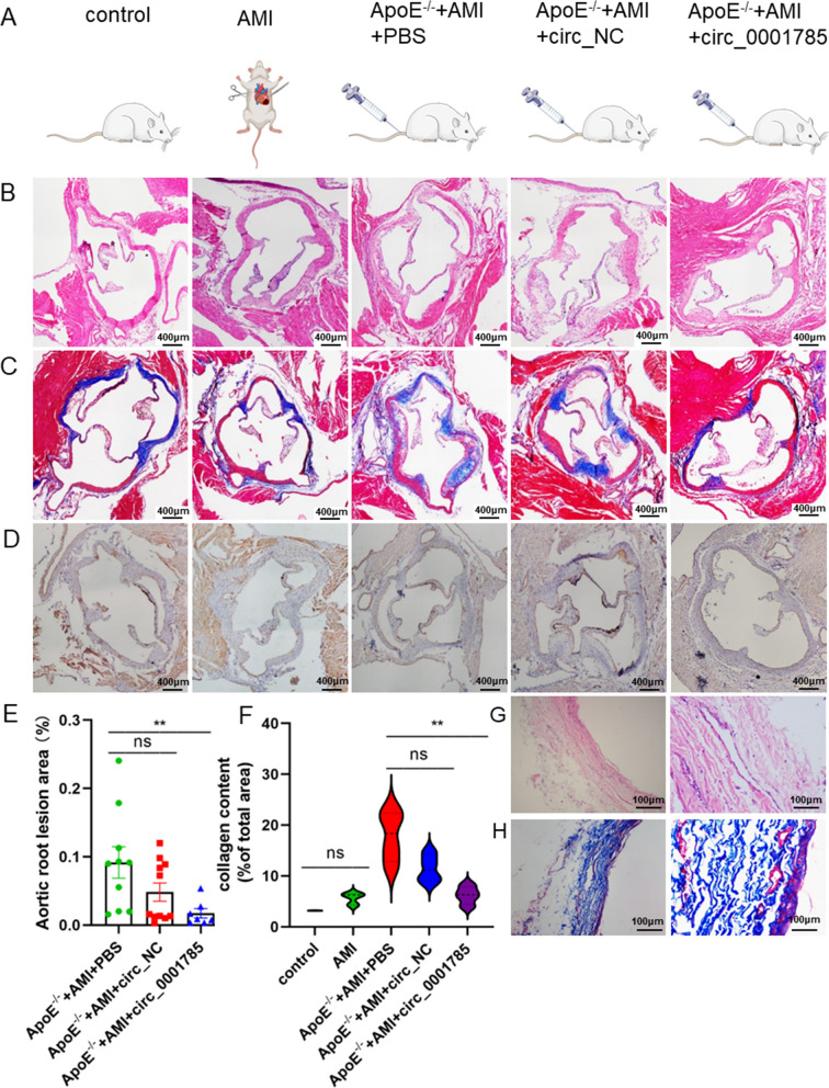 外泌体技术服务