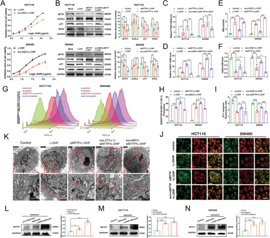 铁死亡 外泌体.jpg