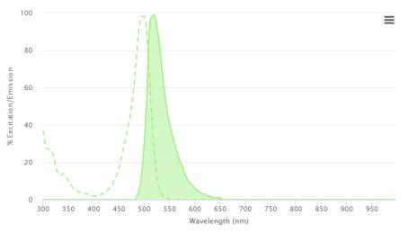 Alexa Fluor 488标记亲和纯化驴抗兔IgG(H+L)二抗说明书 Alexa Fluor 488标记亲和纯化驴抗兔IgG(H+L)二抗说明书