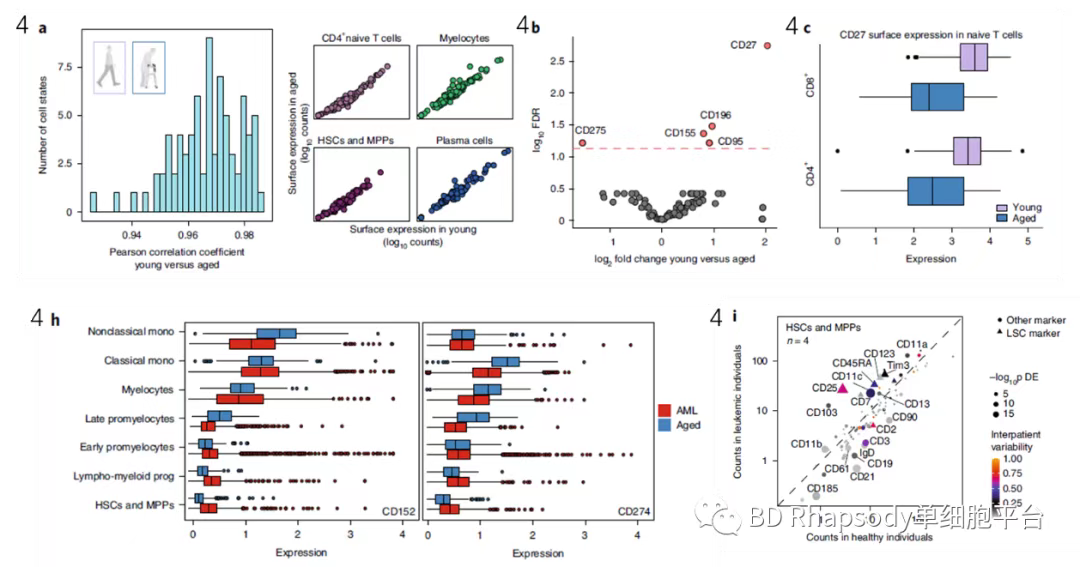 BD Rhapsody AbSeq + WTA + TTA + SMK + FACS Aria II助力白血病研究