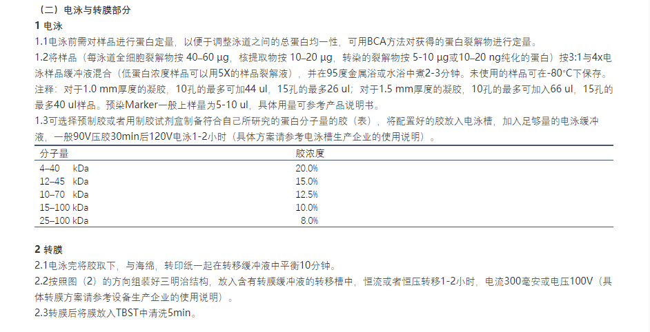 新闻图片4