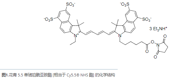 艾美捷Cy5.5单琥珀酰亚基酯 Cy5.5 NHS酯解决方案 艾美捷Cy5.5单琥珀酰亚基酯 Cy5.5 NHS酯解决方案