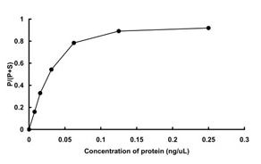 GSK3B重组蛋白活性测定方案 GSK3B重组蛋白活性测定方案