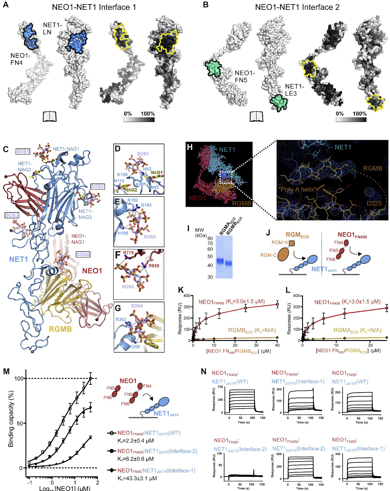 图片4.png 图片4.png