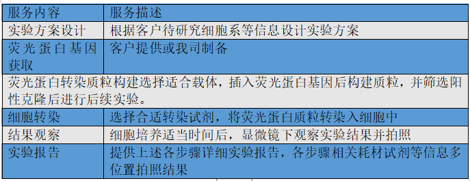 细胞转染那些事儿