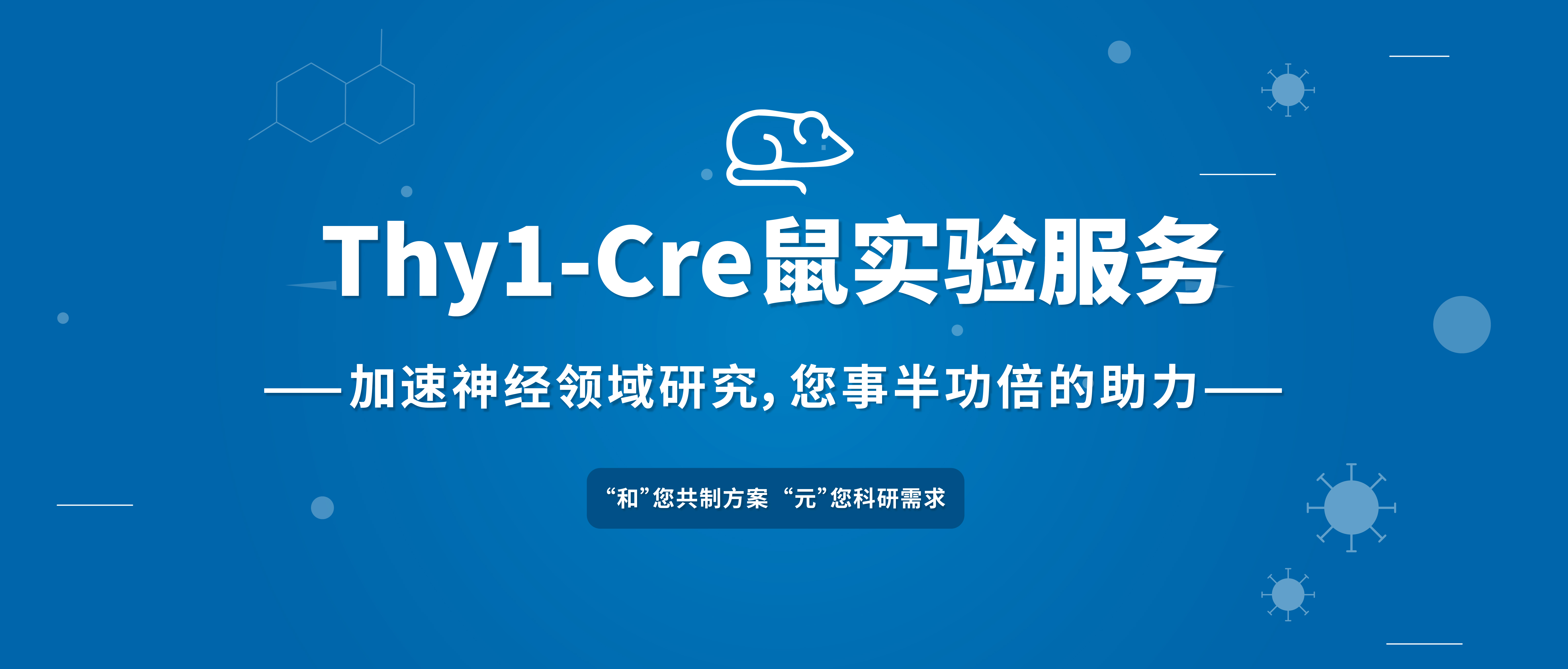 新品发布 欲购从速 | 锥体神经元研究利器—Thy1-Cre鼠实验服务