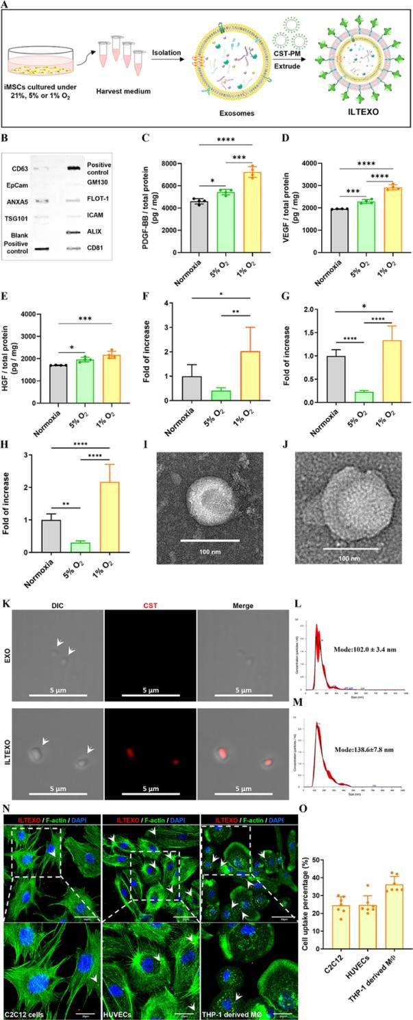 外泌体技术服务 外泌体技术服务