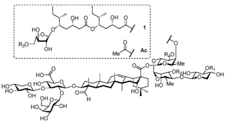 来自皂树皮的QS-21