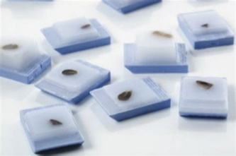 产品升级 | 新一代FFPE DNA提取试剂盒助力提高突变检出率