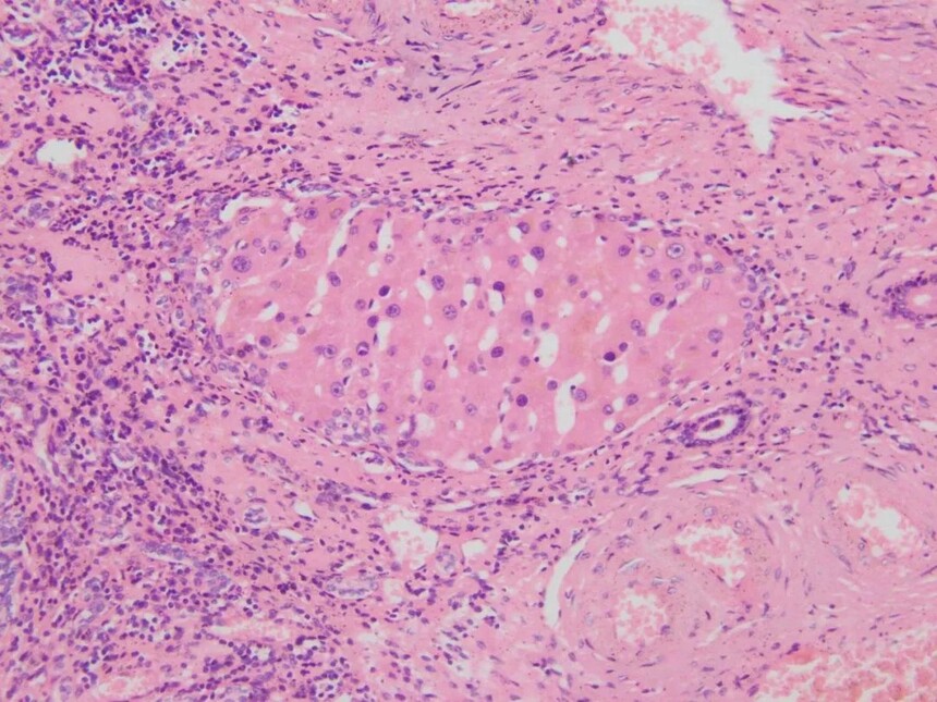 1693384658681917.jpg 1693384658681917.jpg